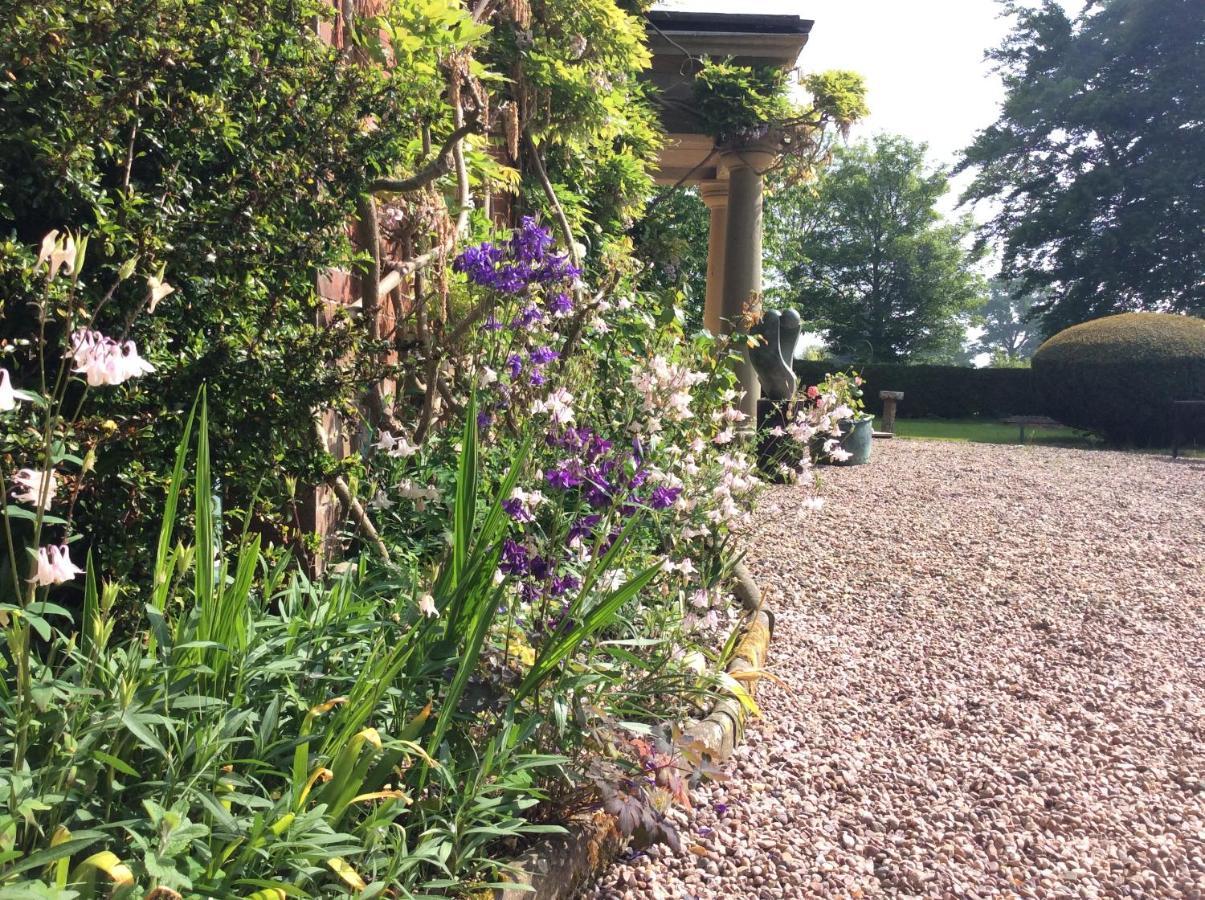Mid Wales Arts B&B Caersws Bagian luar foto